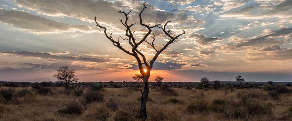 Naankuse Lodge Windhoek Esterno foto