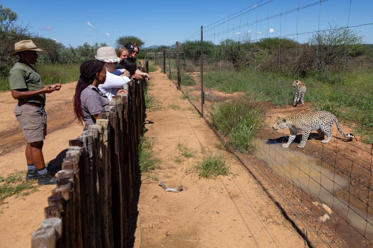 Naankuse Lodge Windhoek Esterno foto