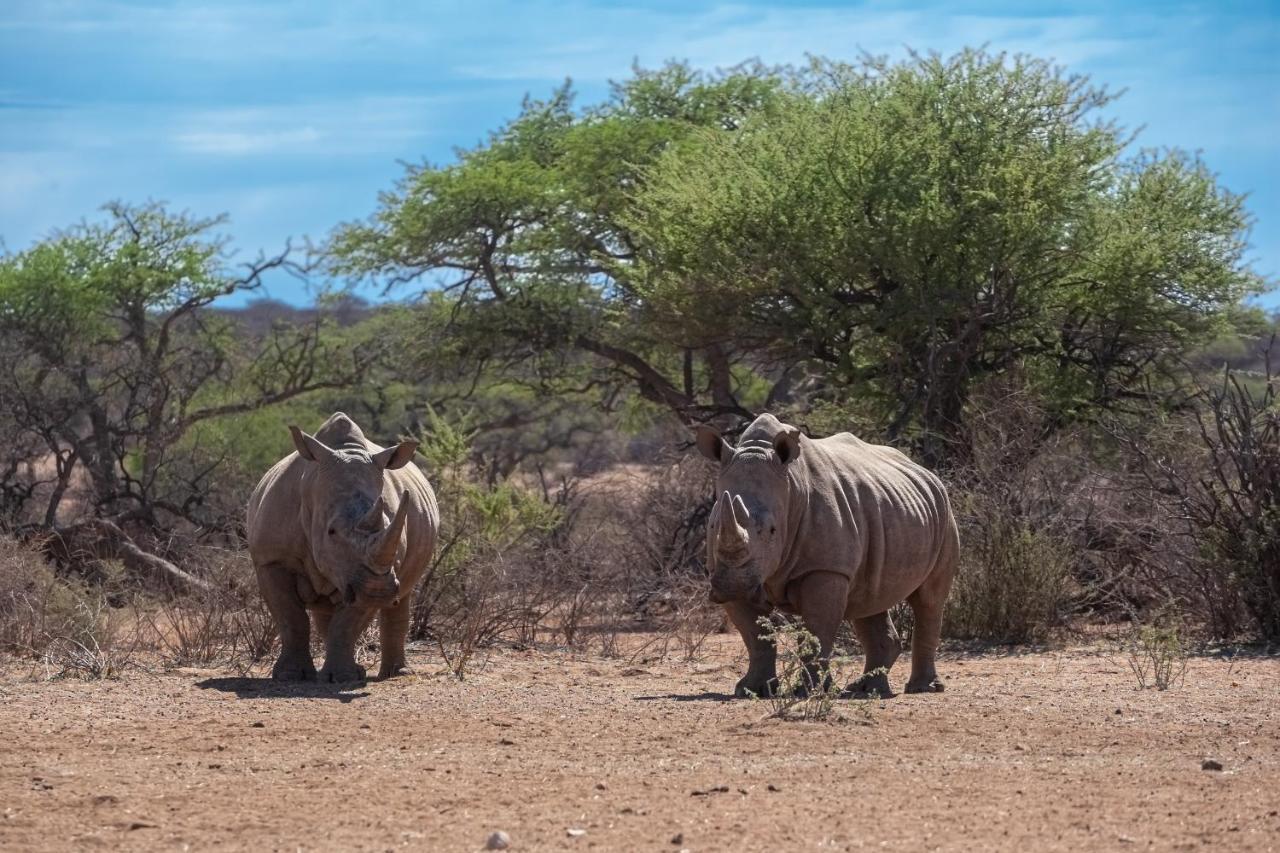 Naankuse Lodge Windhoek Esterno foto