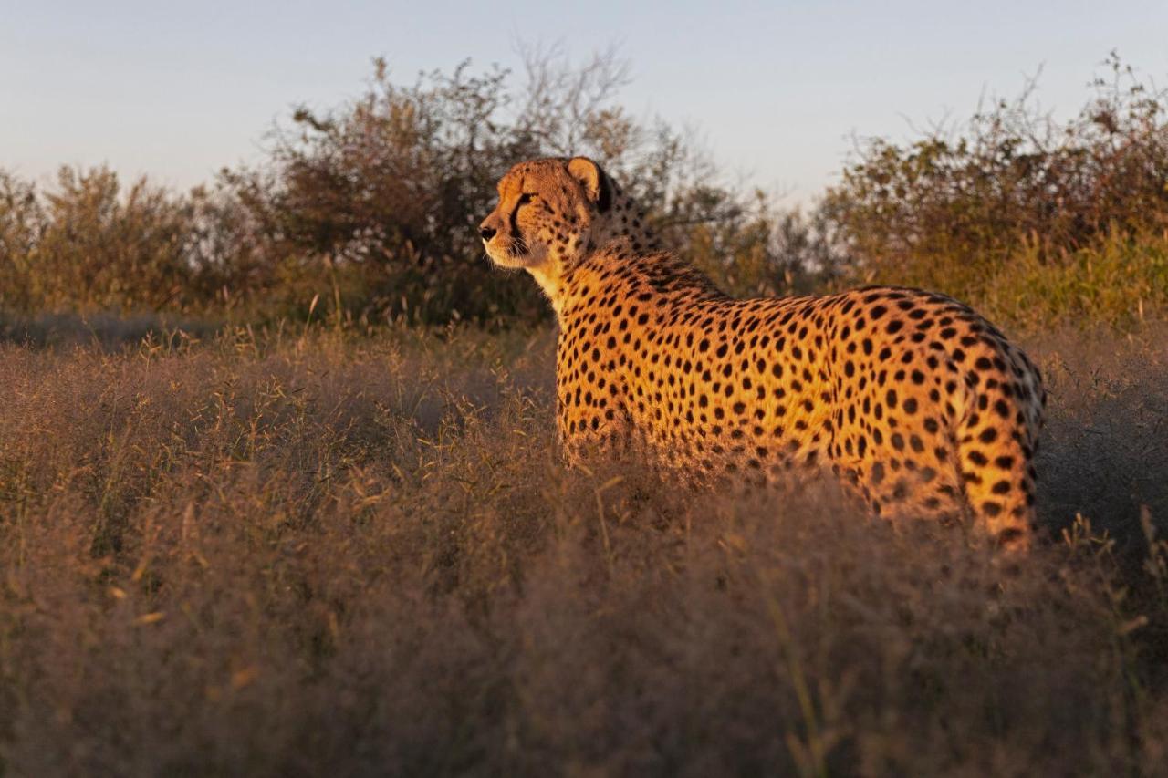 Naankuse Lodge Windhoek Esterno foto